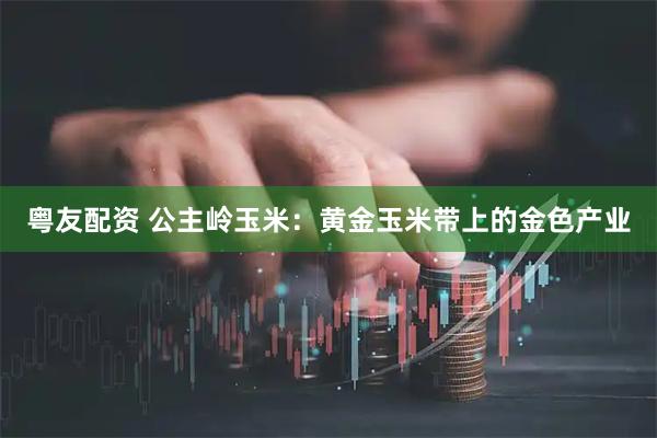 粤友配资 公主岭玉米：黄金玉米带上的金色产业