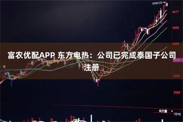 富农优配APP 东方电热:公司已完成泰国子公司注册